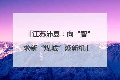 江苏沛县：向“智”求新“煤城”焕新机